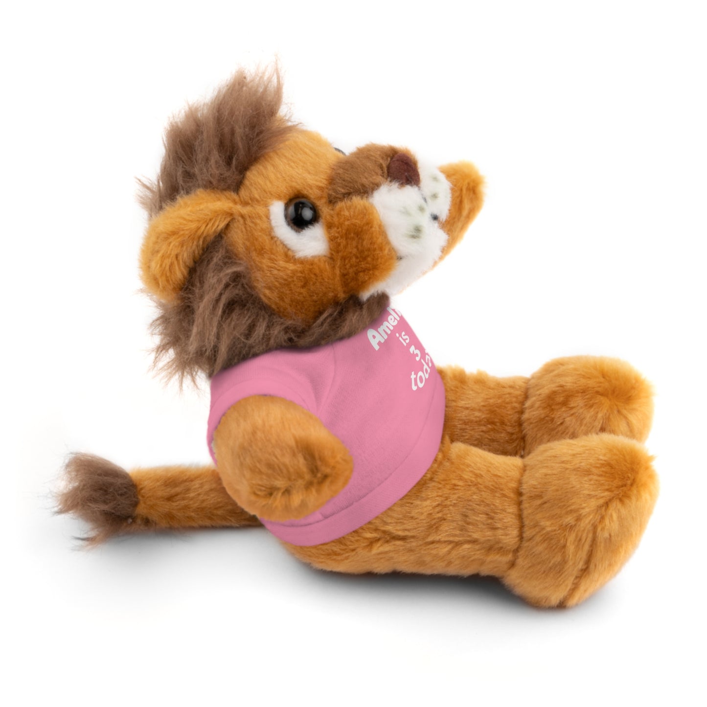 Personalized Birthday Plush Animal – Custom Name & Age Teddy, Bunny, Lion, Panda Gift for Kids