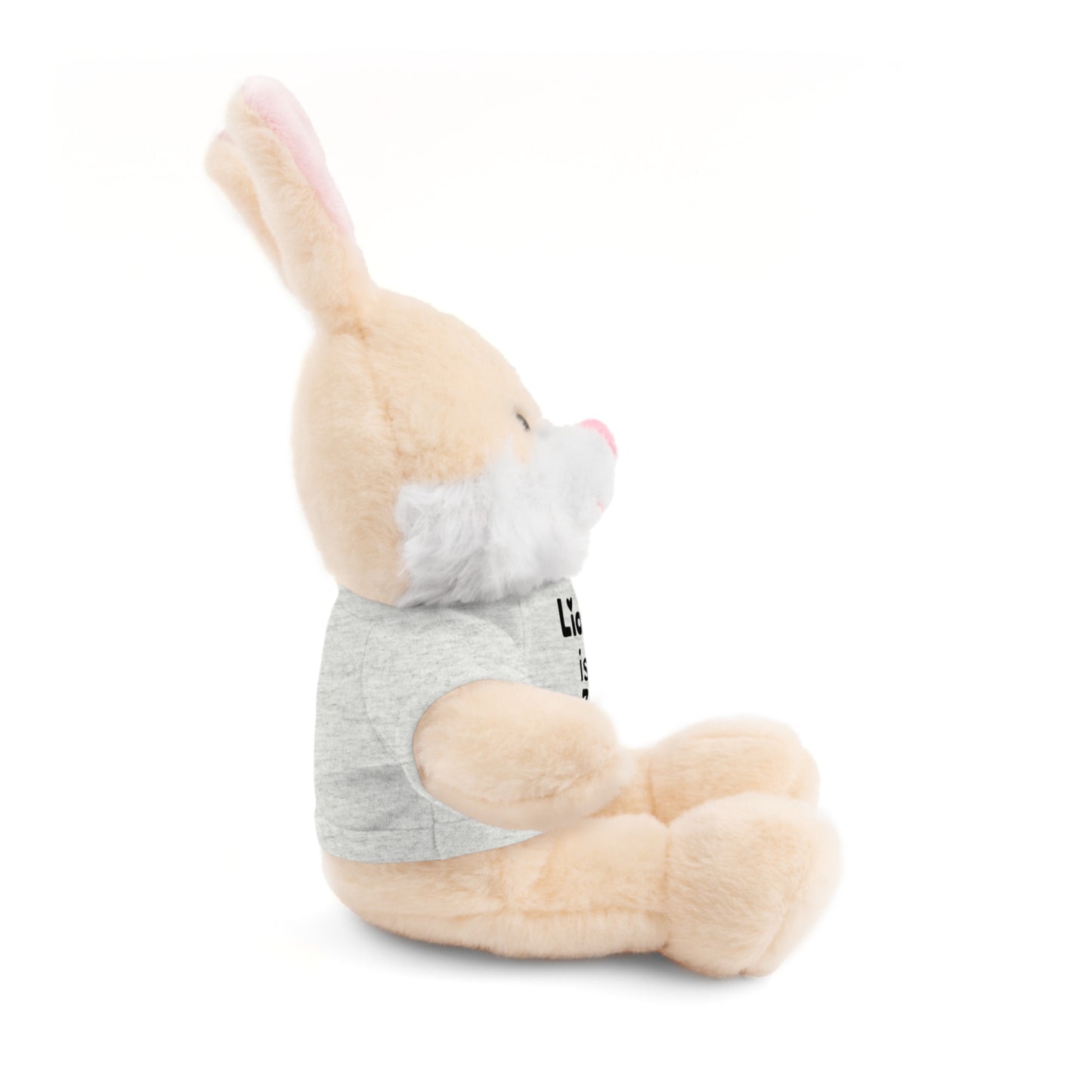 Personalized Birthday Plush Animal – Custom Name & Age Teddy, Bunny, Lion, Panda Gift for Kids