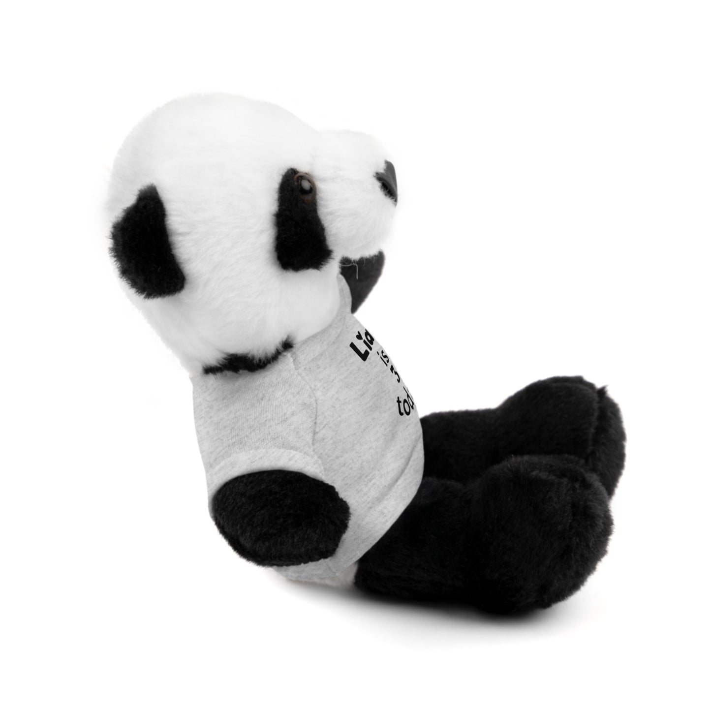 Personalized Birthday Plush Animal – Custom Name & Age Teddy, Bunny, Lion, Panda Gift for Kids