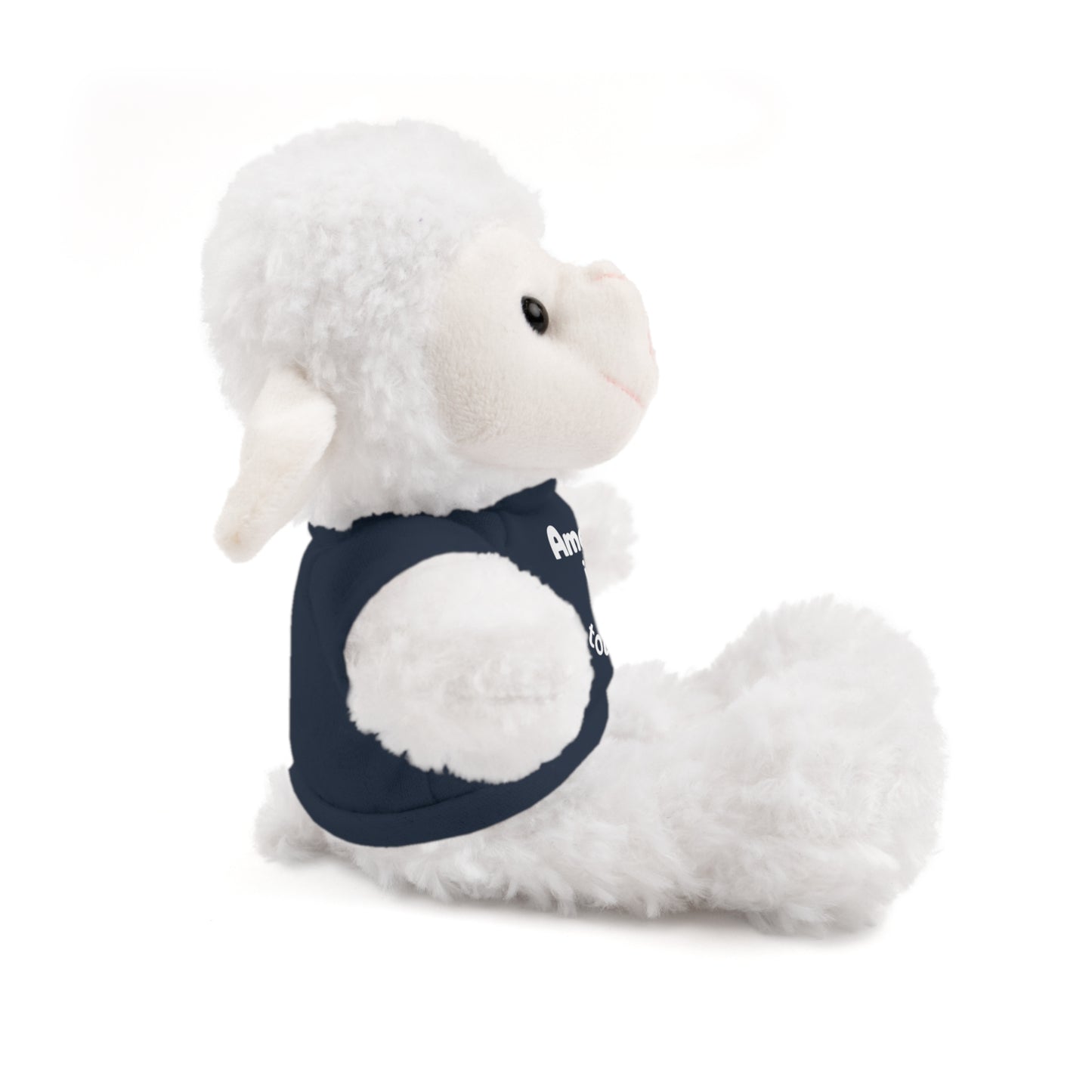Personalized Birthday Plush Animal – Custom Name & Age Teddy, Bunny, Lion, Panda Gift for Kids