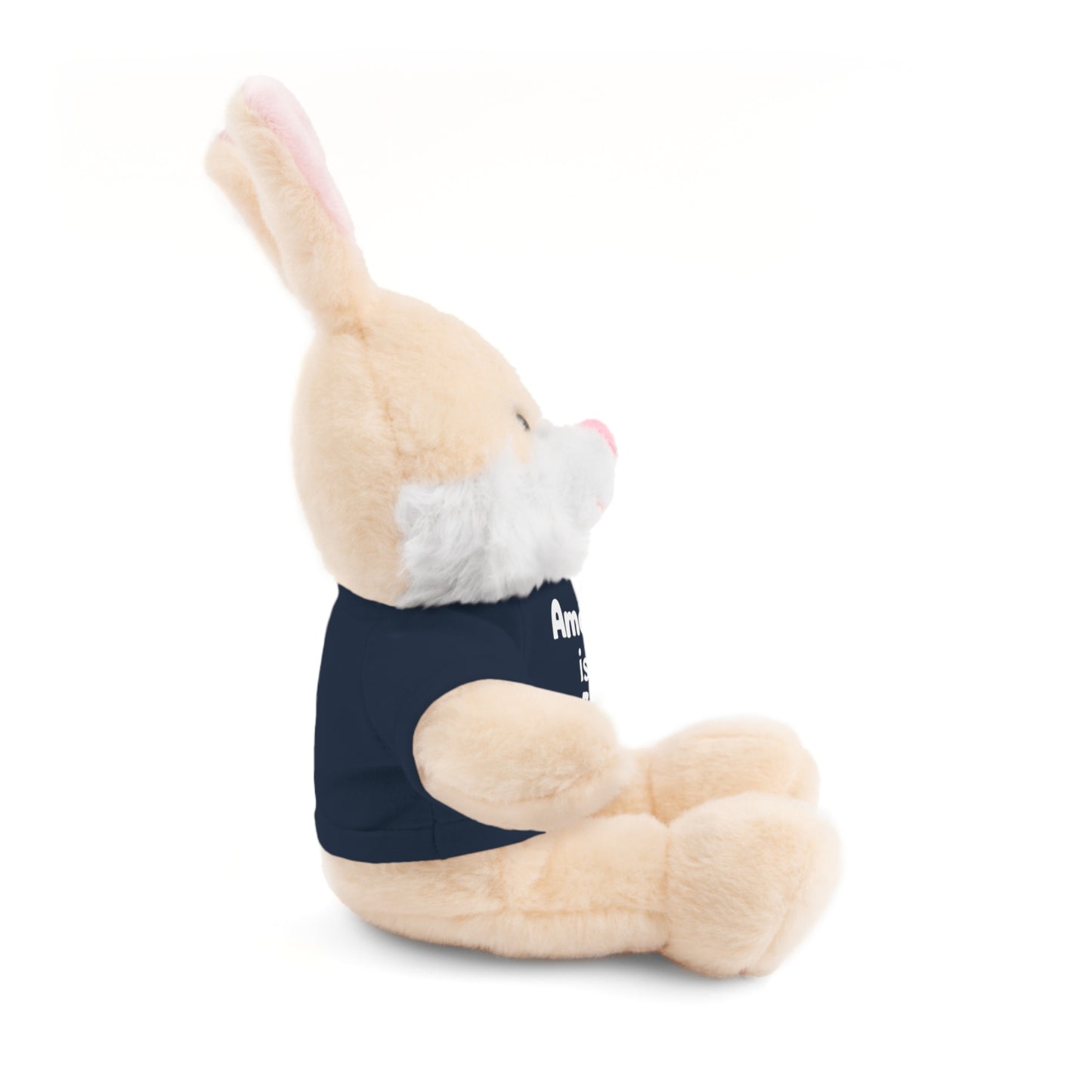 Personalized Birthday Plush Animal – Custom Name & Age Teddy, Bunny, Lion, Panda Gift for Kids