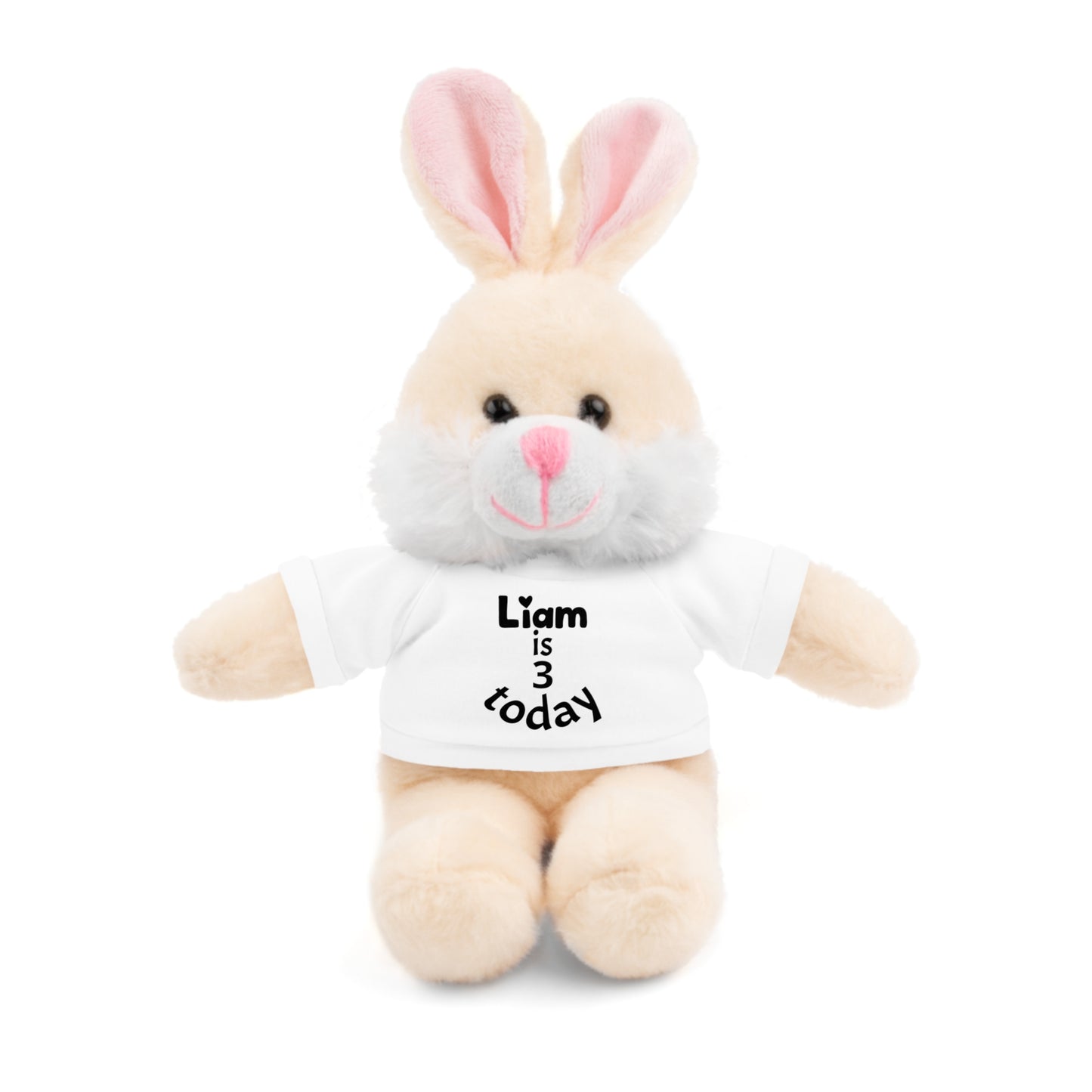 Personalized Birthday Plush Animal – Custom Name & Age Teddy, Bunny, Lion, Panda Gift for Kids