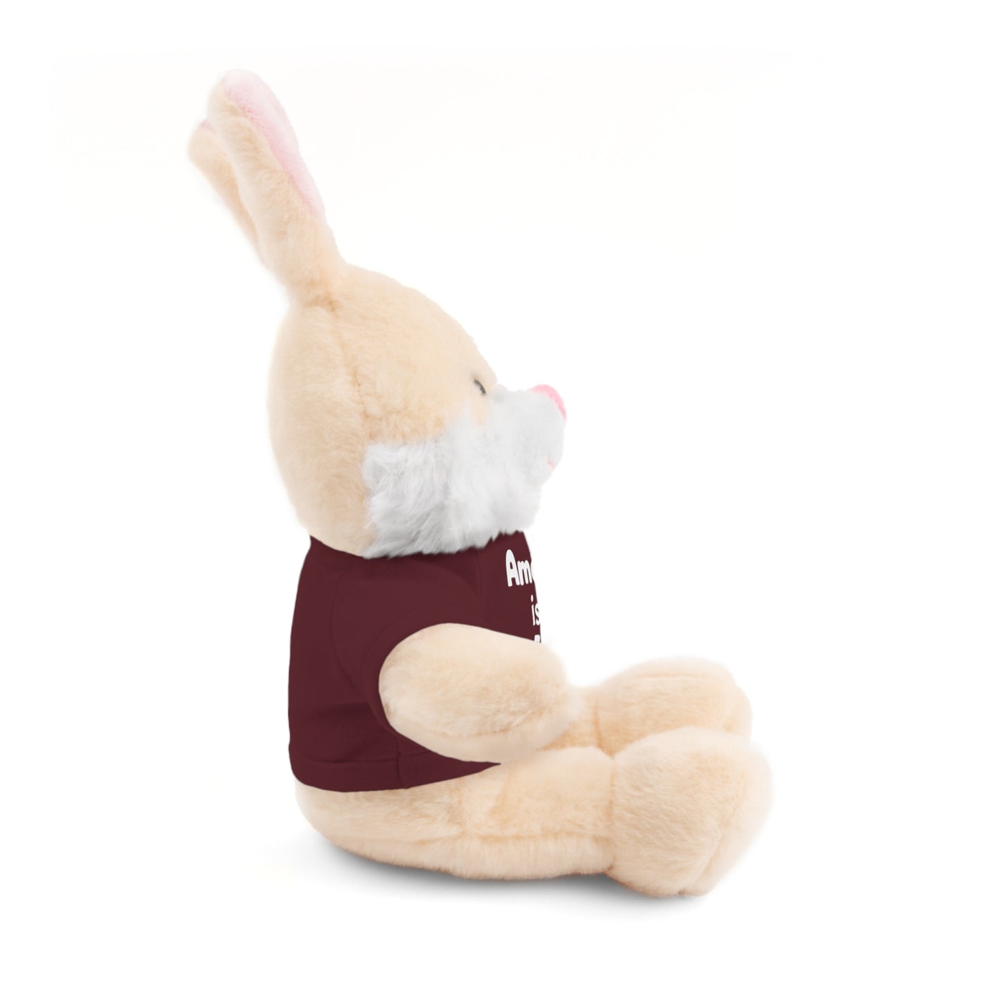 Personalized Birthday Plush Animal – Custom Name & Age Teddy, Bunny, Lion, Panda Gift for Kids