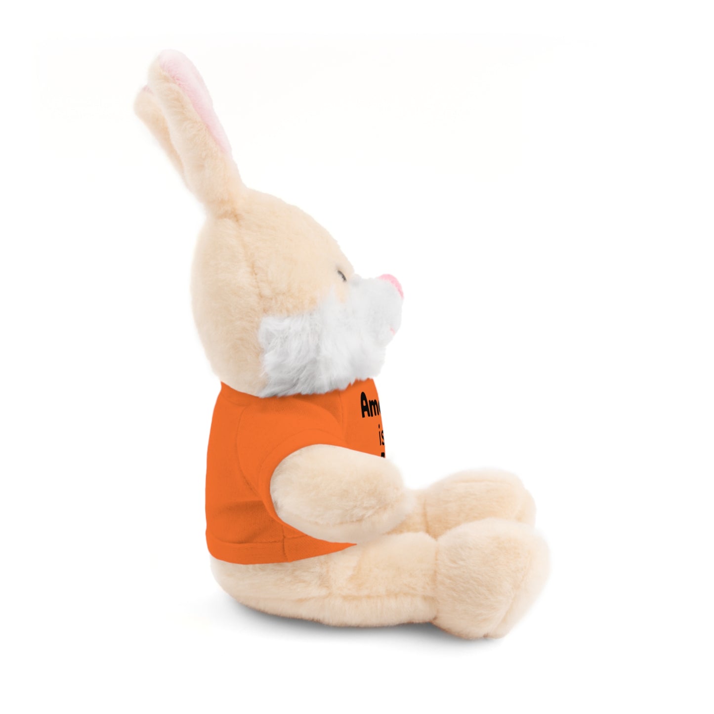 Personalized Birthday Plush Animal – Custom Name & Age Teddy, Bunny, Lion, Panda Gift for Kids