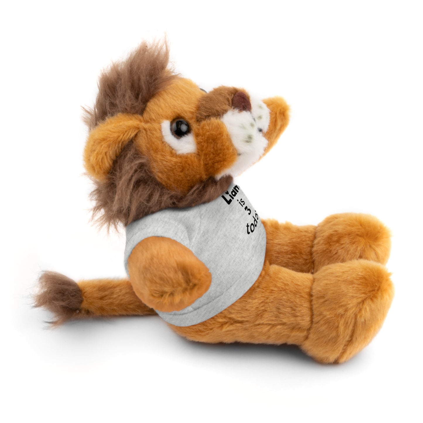 Personalized Birthday Plush Animal – Custom Name & Age Teddy, Bunny, Lion, Panda Gift for Kids