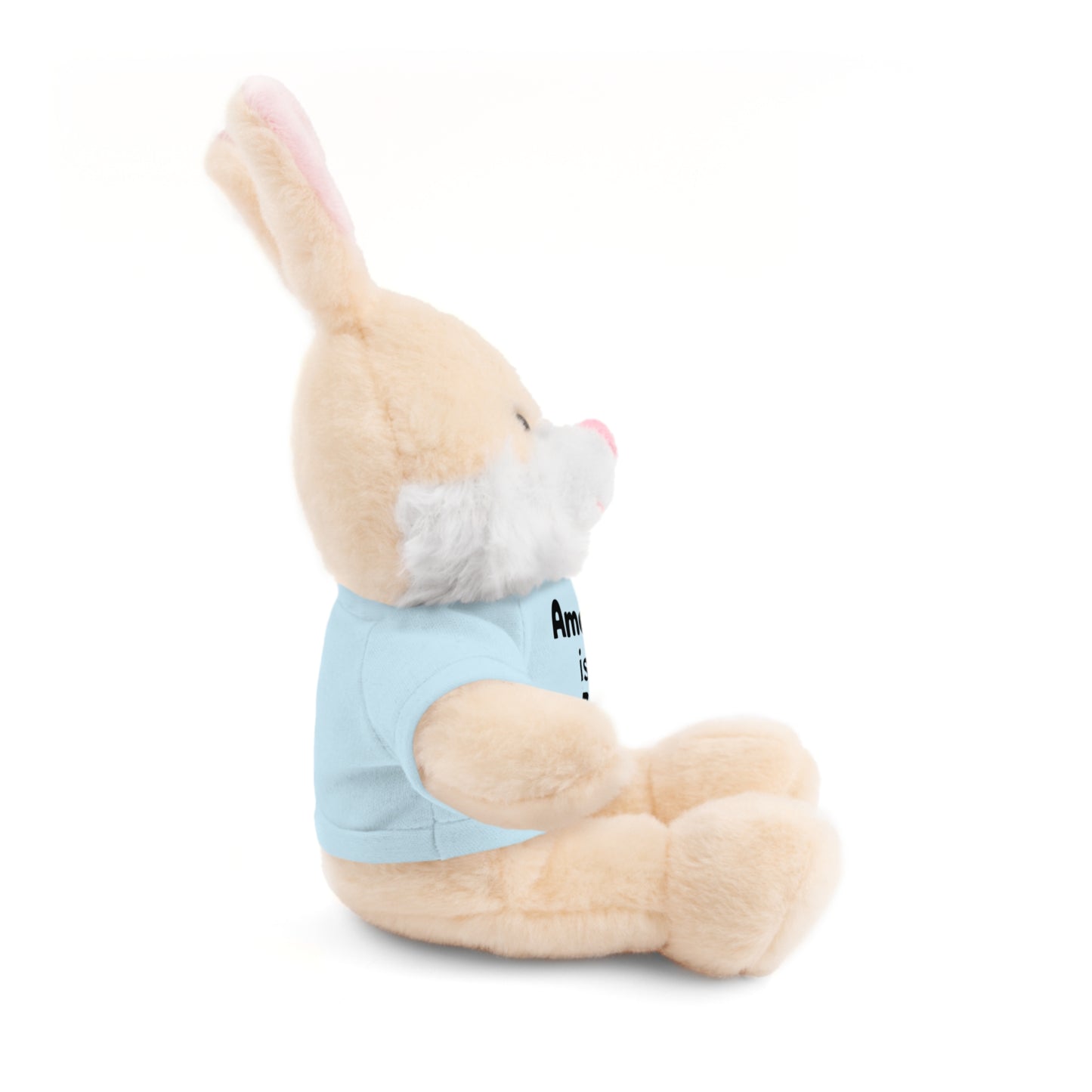 Personalized Birthday Plush Animal – Custom Name & Age Teddy, Bunny, Lion, Panda Gift for Kids