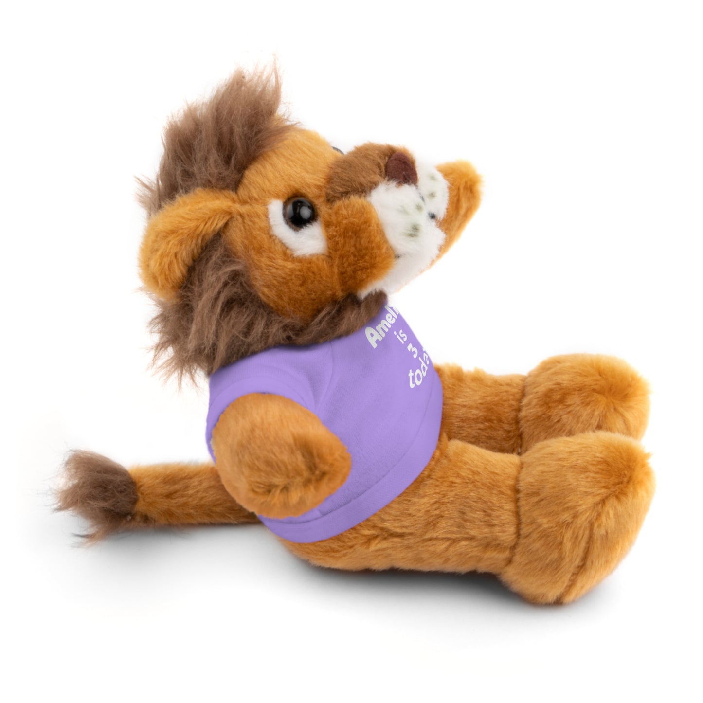 Personalized Birthday Plush Animal – Custom Name & Age Teddy, Bunny, Lion, Panda Gift for Kids