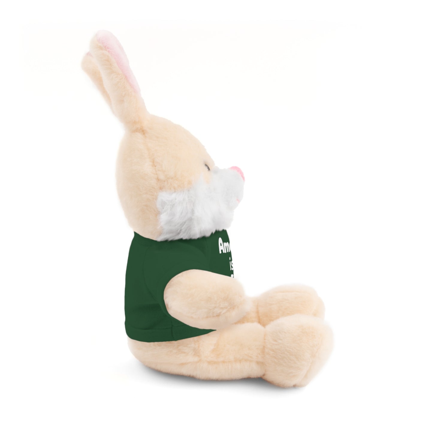 Personalized Birthday Plush Animal – Custom Name & Age Teddy, Bunny, Lion, Panda Gift for Kids