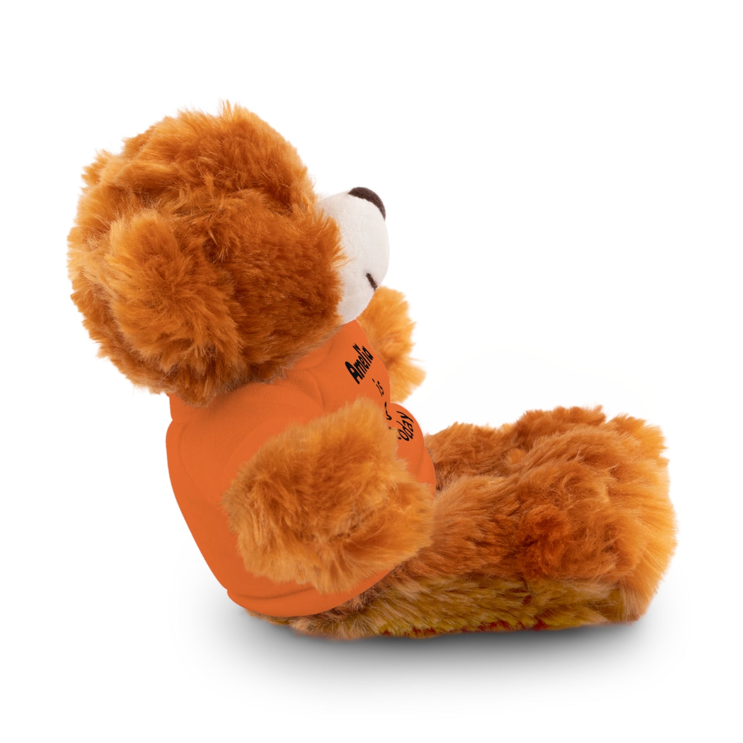 Personalized Birthday Plush Animal – Custom Name & Age Teddy, Bunny, Lion, Panda Gift for Kids