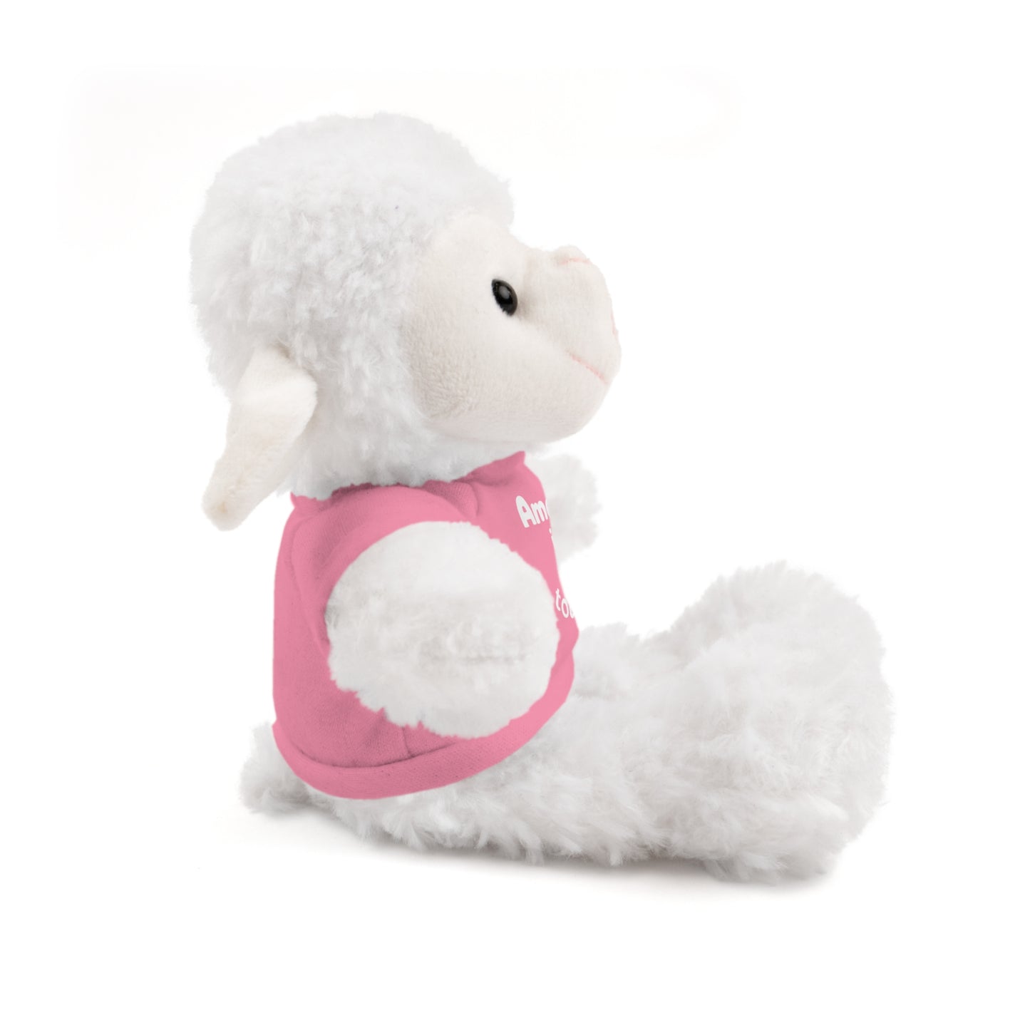 Personalized Birthday Plush Animal – Custom Name & Age Teddy, Bunny, Lion, Panda Gift for Kids
