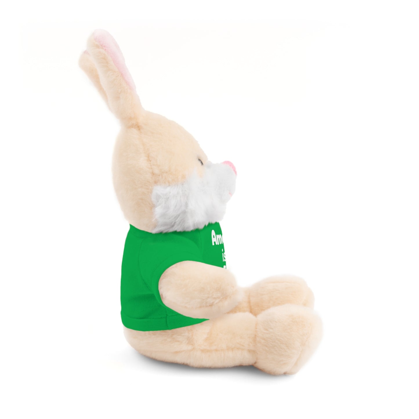 Personalized Birthday Plush Animal – Custom Name & Age Teddy, Bunny, Lion, Panda Gift for Kids